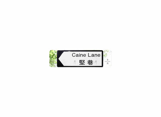 堅巷 Caine Lane 香港街道牌磁石貼 全真粗黑款式 白底黑字真實復刻 香港製造