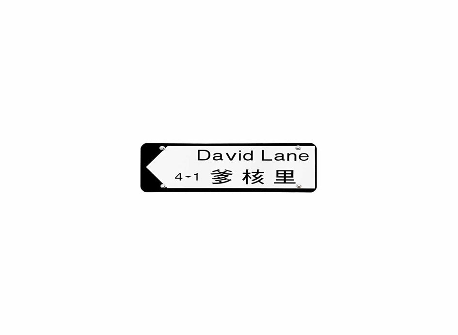 爹核里 David Lane 香港街道牌磁石貼 全真粗黑款式 白底黑字真實復刻 香港製造