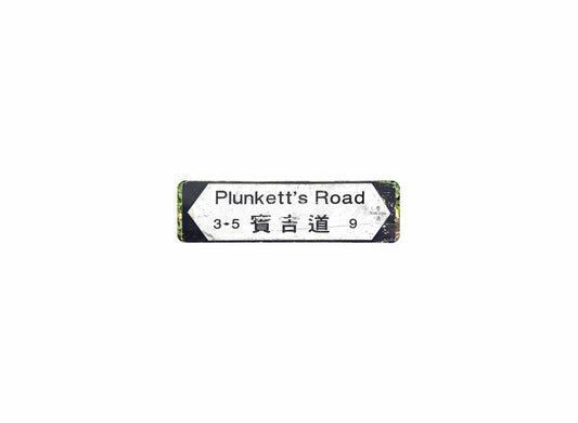 賓吉道 Plunketts Road