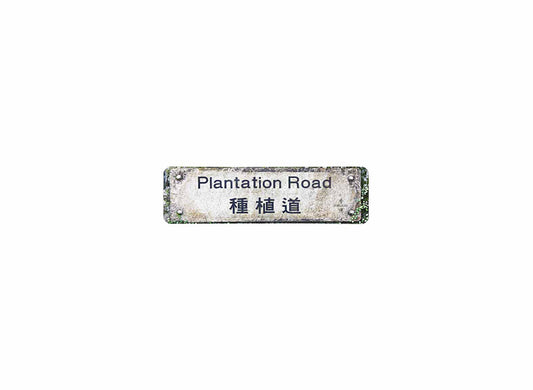 種植道 Plantation Road