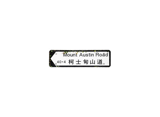 柯士甸山道 Mount Austin Road