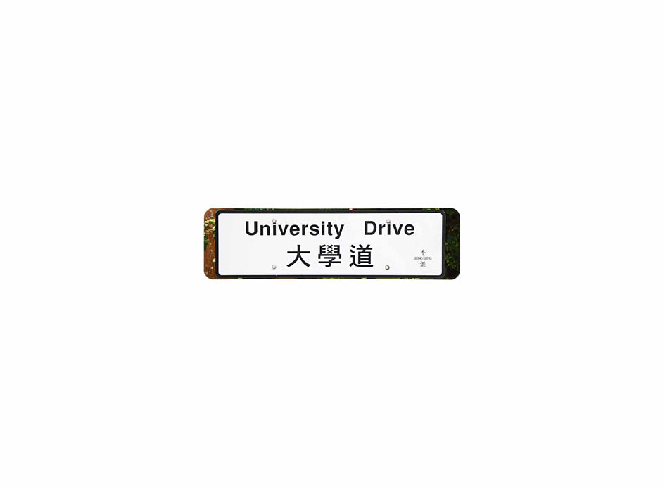 大學道 University Drive 香港街道牌磁石貼 全真粗黑款式 白底黑字真實復刻 香港製造