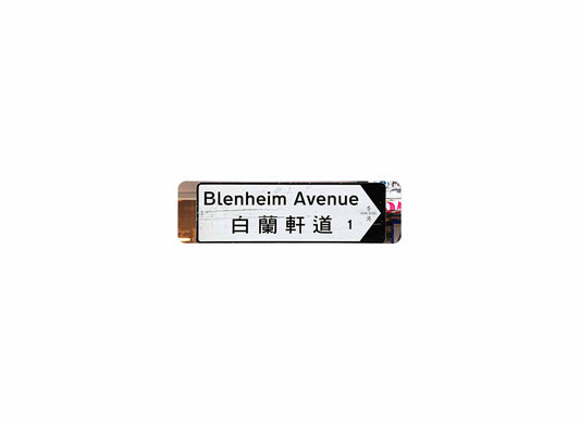 白蘭軒道 Blenheim Avenue